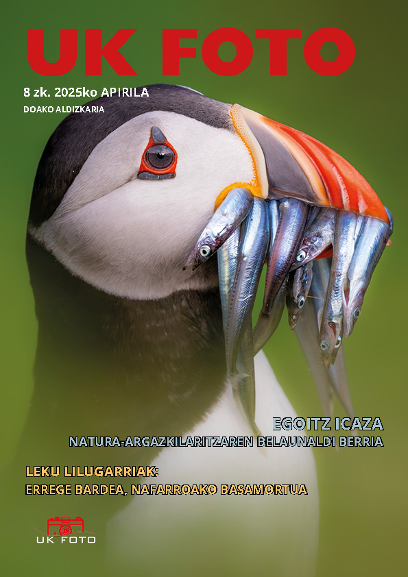 Revista UK FOTO